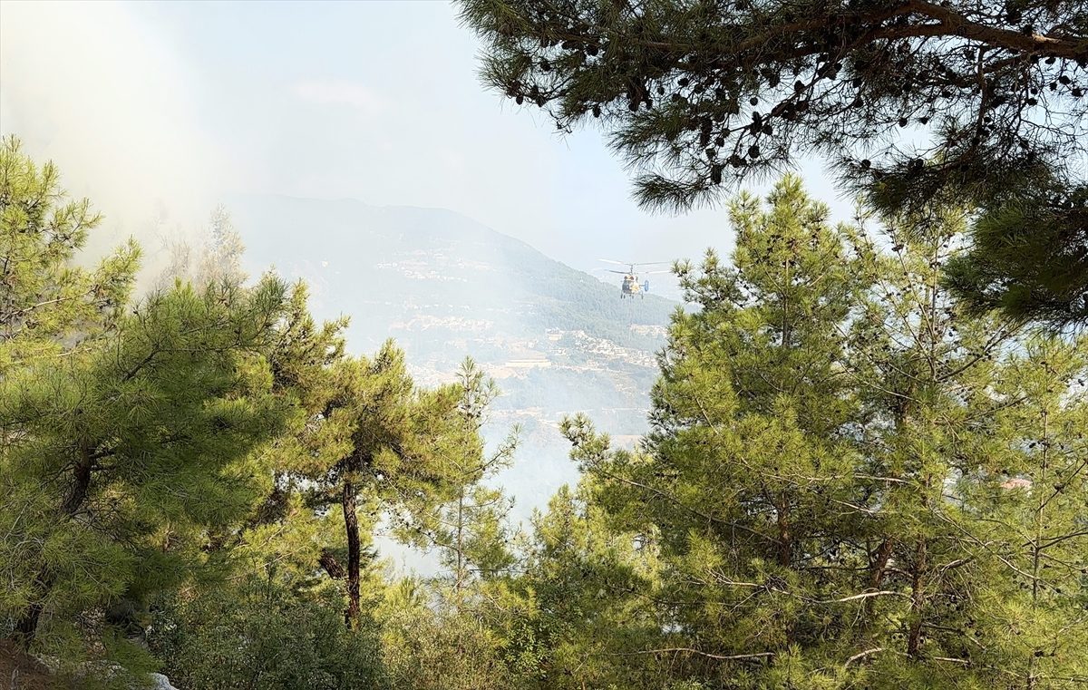 GÜNCELLEME – Alanya’da çıkan orman yangını kontrol altına alındı