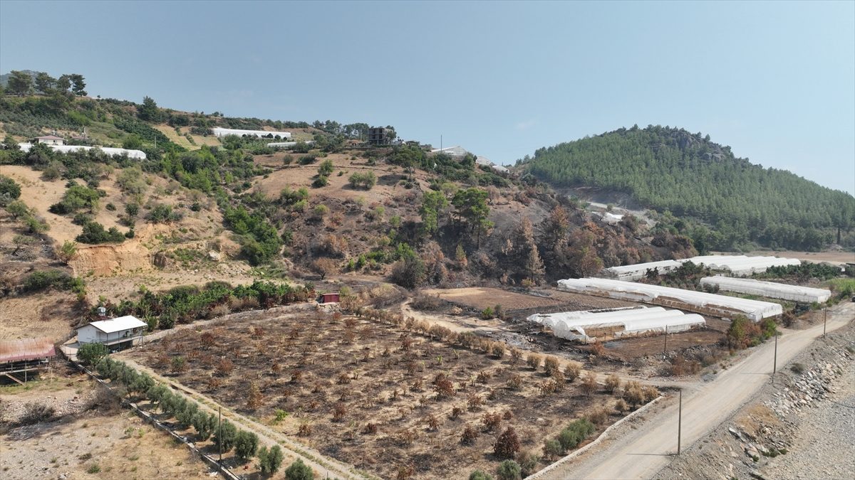 Antalya Büyükşehir Belediyesi yangından etkilenen üreticilere destekte bulundu