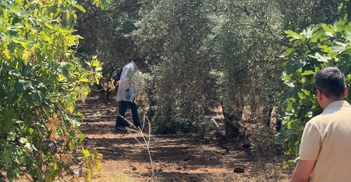 Antalya’da zeytinlik alanda elleri arkadan bağlı olan bir genç ölü olarak bulundu