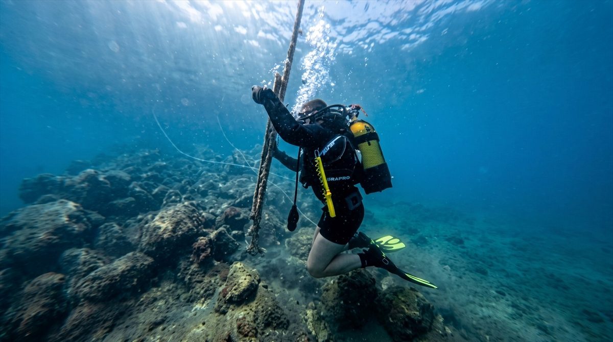 Aydın’da deniz dibi temizliği yapıldı