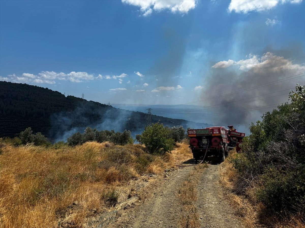 Balıkesir’in Erdek ilçesinde makilik ve zeytinlik alanda yangın çıktı