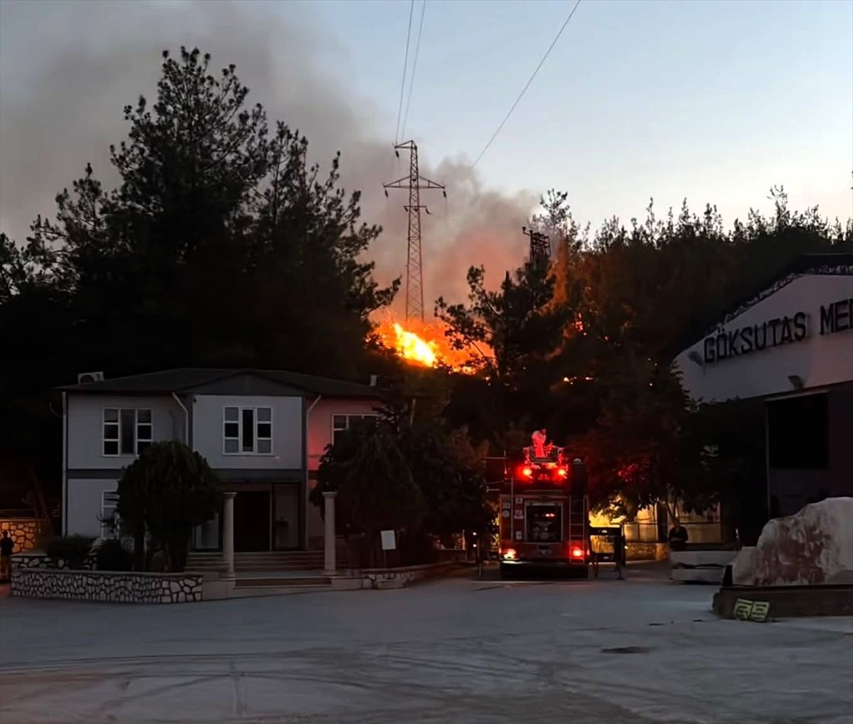 Bilecik’te çıkan orman yangını söndürüldü