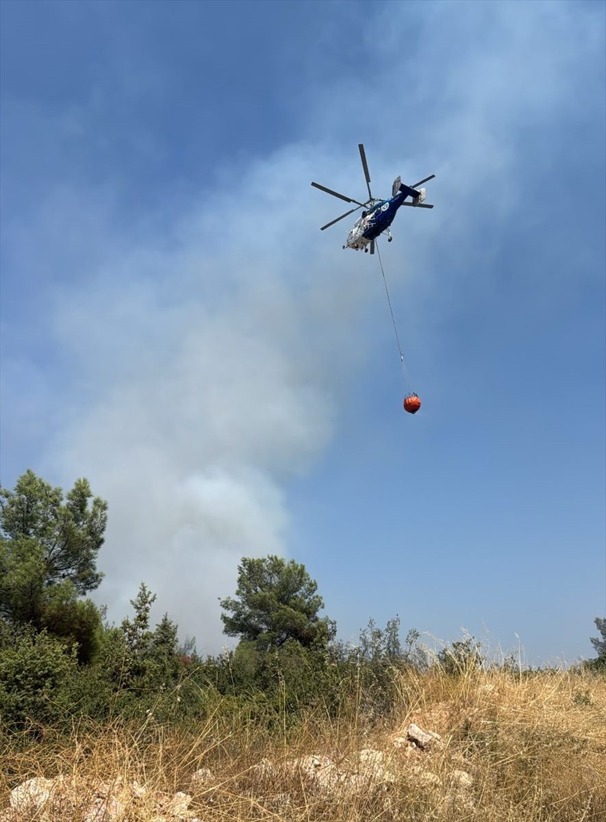 Bilecik’te ormanlık alanda çıkan yangına müdahale ediliyor
