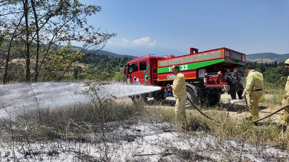 Bursa’da çıkan orman yangını büyümeden söndürüldü