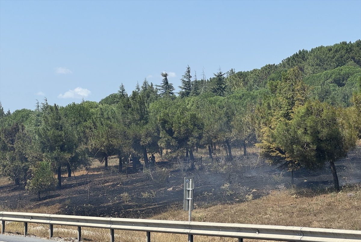 Büyükçekmece’de otluk ve ağaçlık alanda çıkan yangın söndürüldü