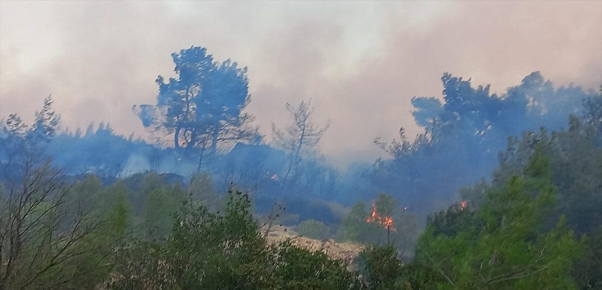 Çanakkale’nin Ezine ilçesinde ormanlık alanda çıkan yangına müdahale ediliyor