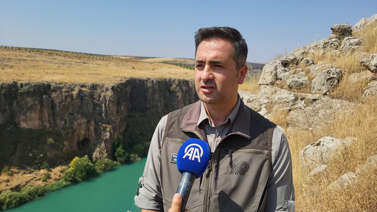 Çizgili sırtlanların yaşam alanlarında yaban hayatının bozulmasına yol açacak davranışlardan kaçınılması uyarısı