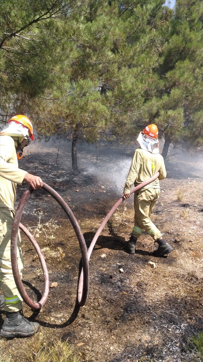 Denizli’de ormanlık alanda çıkan yangın kontrol altına alındı