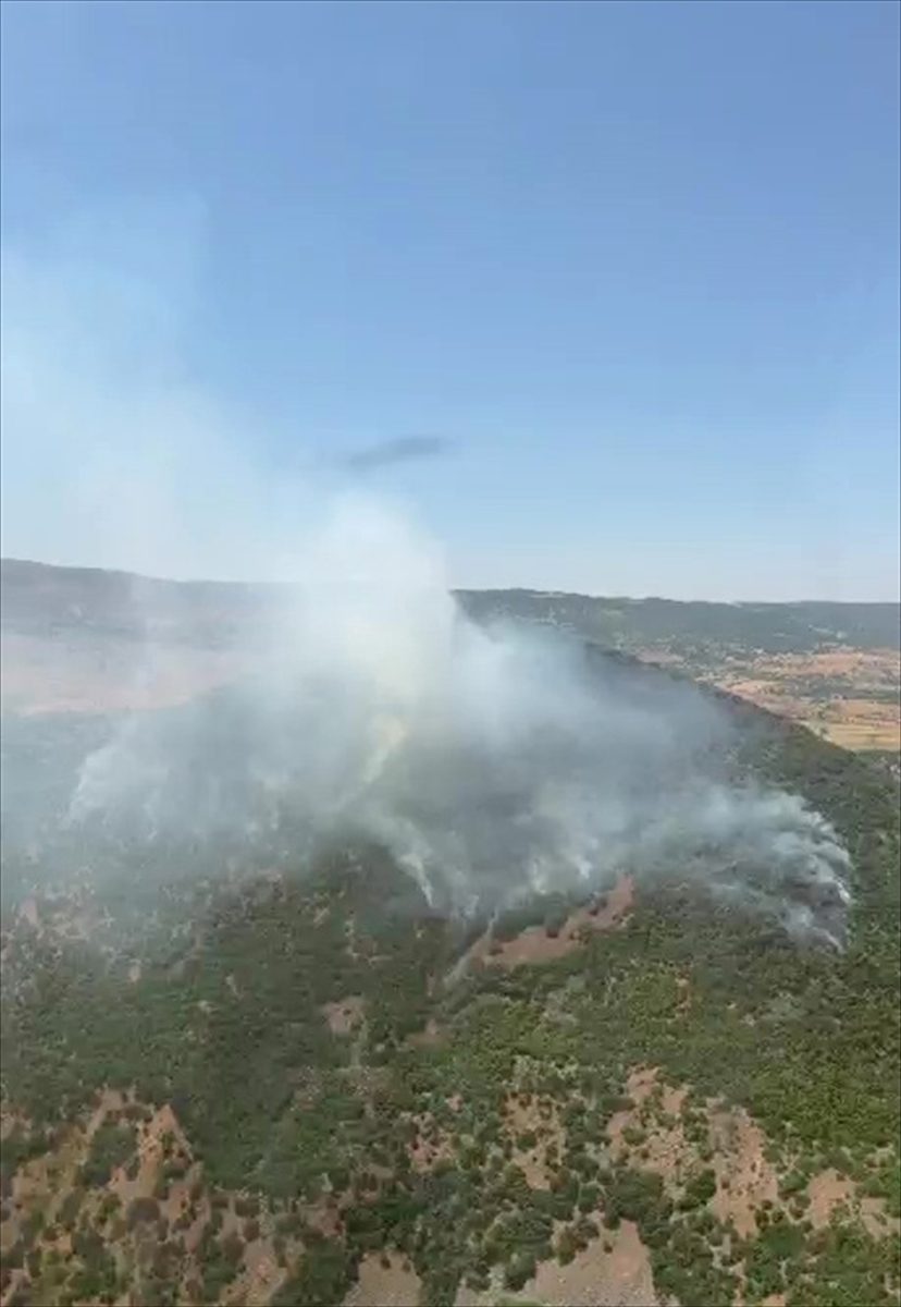 Elazığ’da ormanlık alanda çıkan yangın söndürüldü