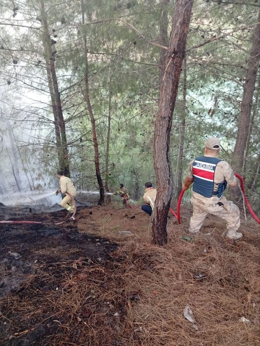 Hatay’da çıkan orman yangını söndürüldü