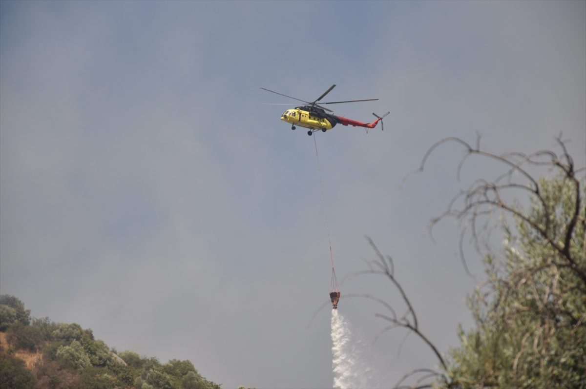 İzmir’de zeytinlik ve otluk alanda çıkan yangın kontrol altına alındı