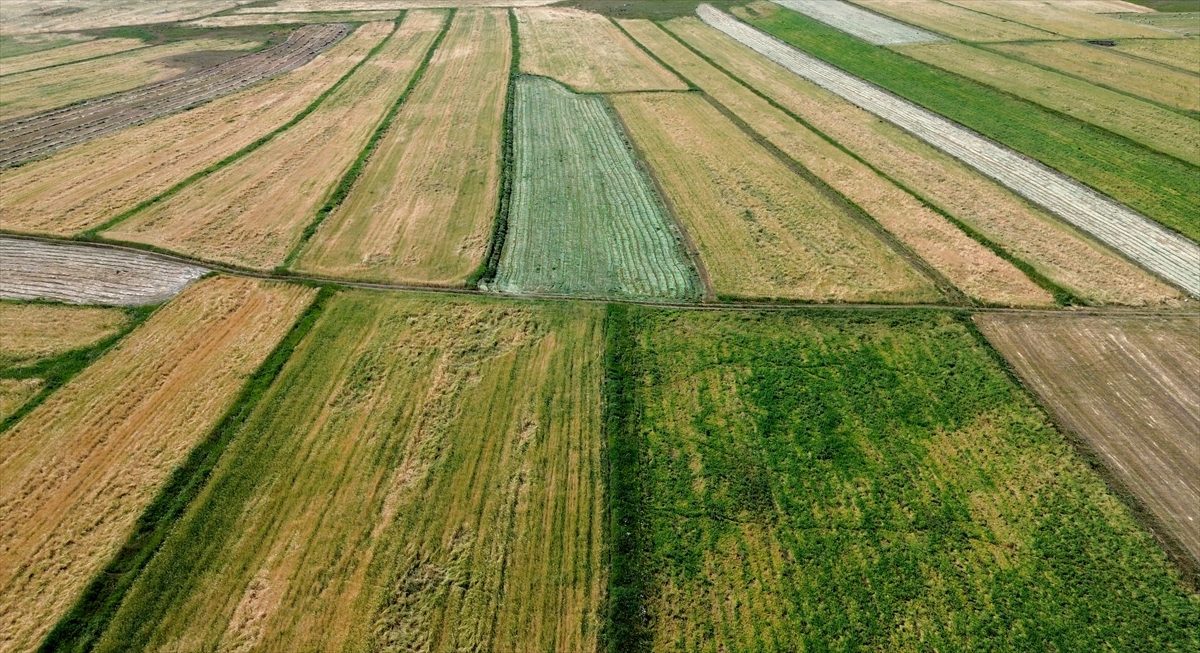 Kars’ta tabloyu andıran tarım arazileri dronla görüntülendi