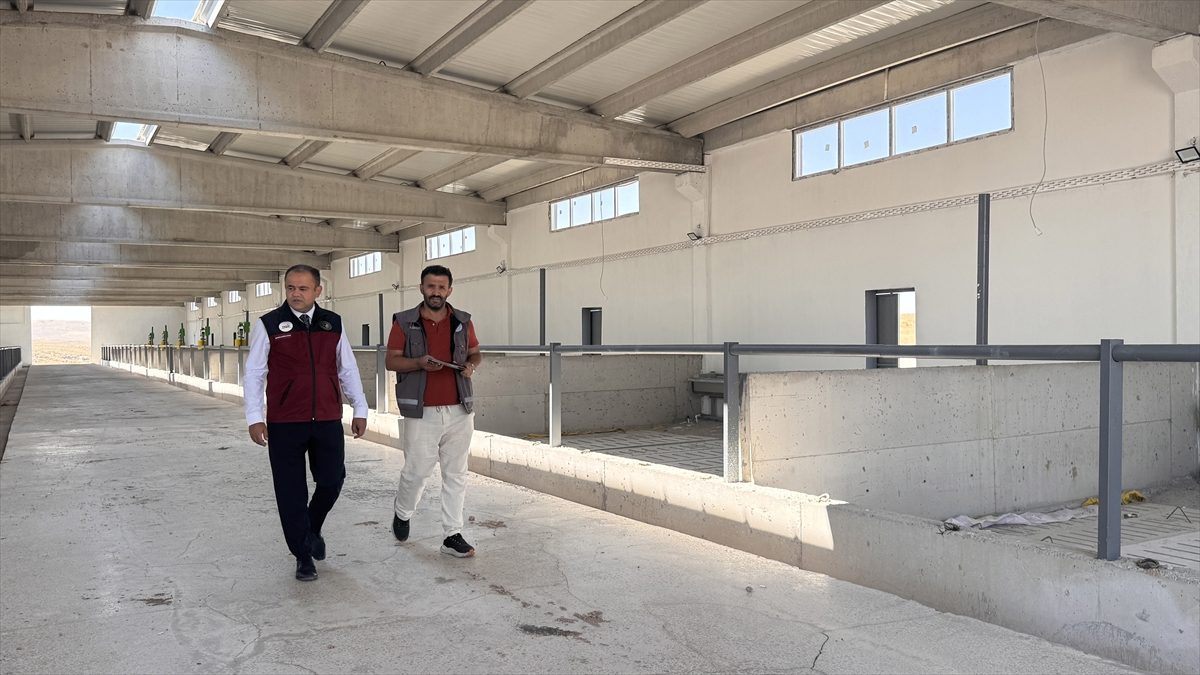 Kayseri’de hayvancılık yatırımları devlet desteğiyle artıyor