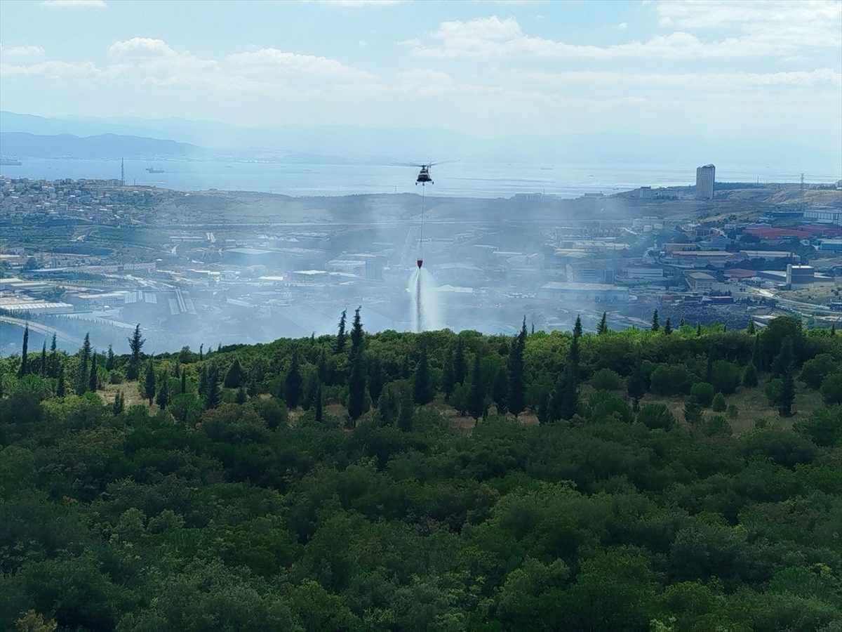 Kocaeli’de ormanlık alanda çıkan yangına müdahale ediliyor