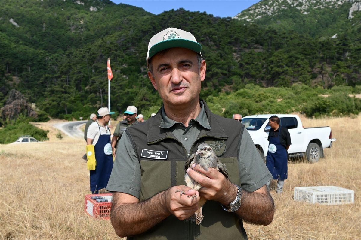 Manisa’da 1200 kınalı keklik doğaya salındı