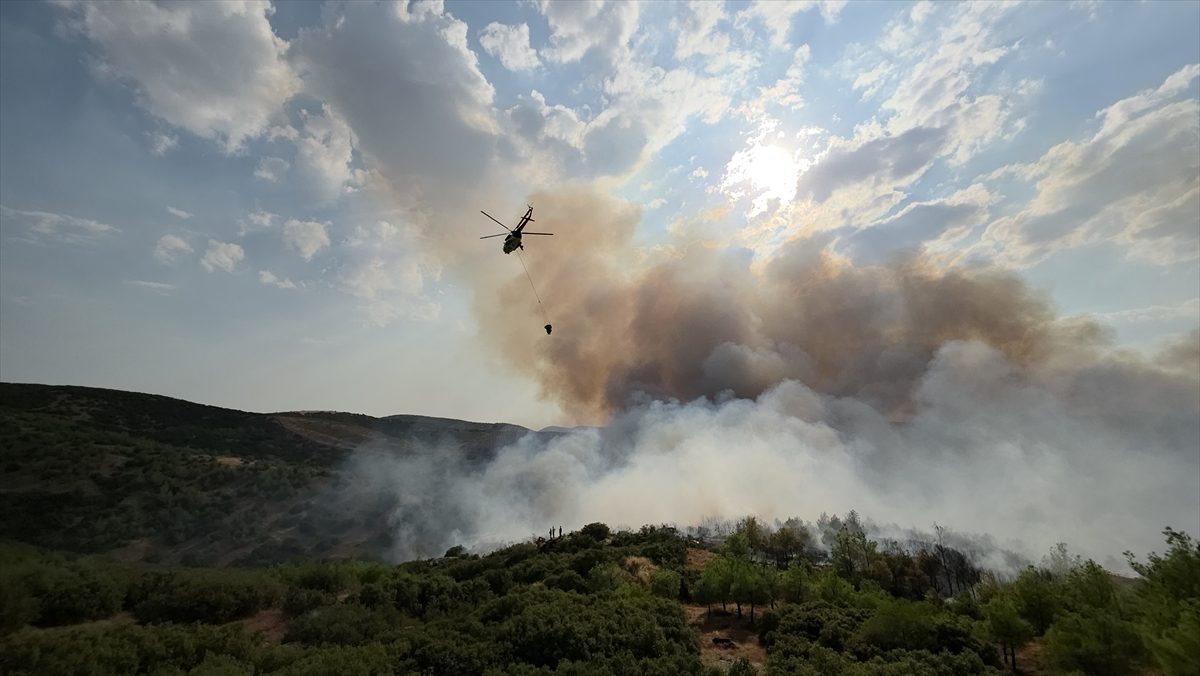 Manisa’da çıkan orman yangınına müdahale ediliyor