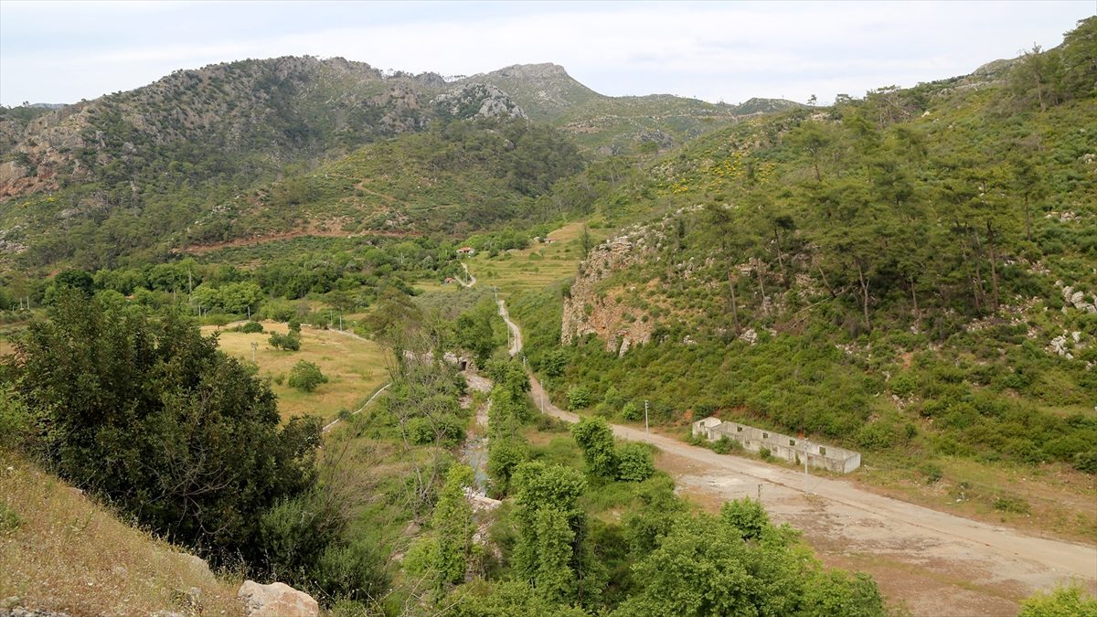 Muğla’da 2021’in küllerinden doğan ormanlar yeşil örtüsüne kavuştu