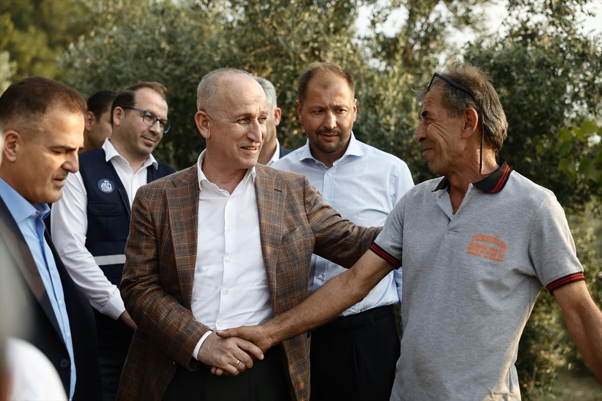 Orman yangınından etkilenen 5 ilde hasar tespit çalışmaları tamamlandı