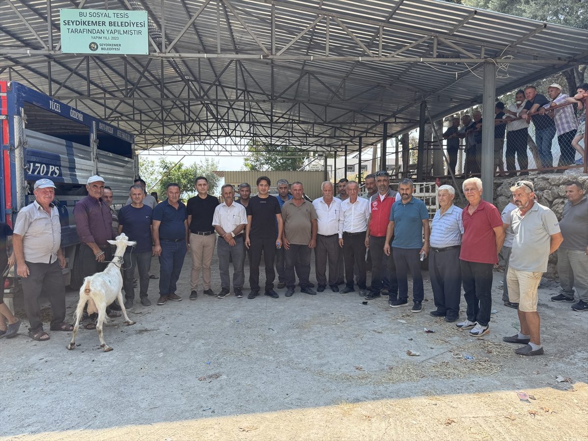 Seydikemer’de yangında hayvanlarını kaybeden çiftçilere 114 küçükbaş hayvan dağıtıldı