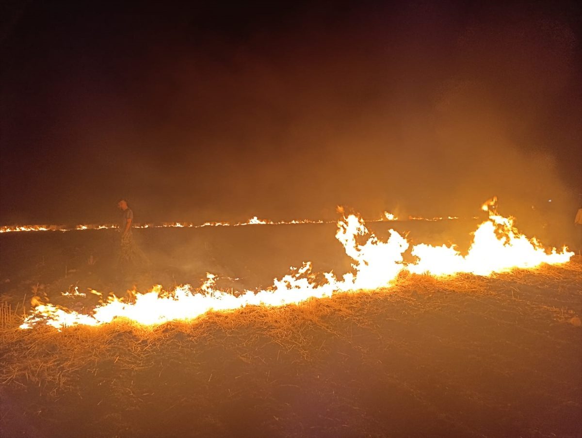 Şırnak’ta çıkan örtü ve anız yangını söndürüldü