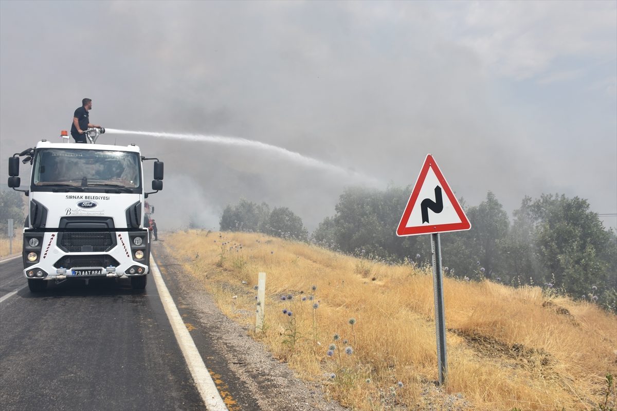 GÜNCELLEME – Şırnak’ta ormanlık alana sıçrayan yangın kontrol altına alındı